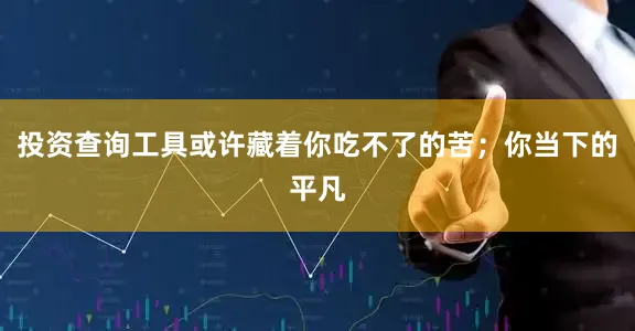 投资查询工具或许藏着你吃不了的苦；你当下的平凡