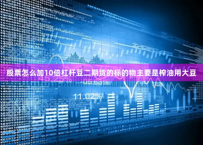 股票怎么加10倍杠杆豆二期货的标的物主要是榨油用大豆