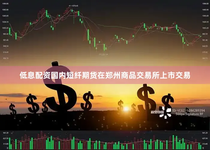 低息配资国内短纤期货在郑州商品交易所上市交易