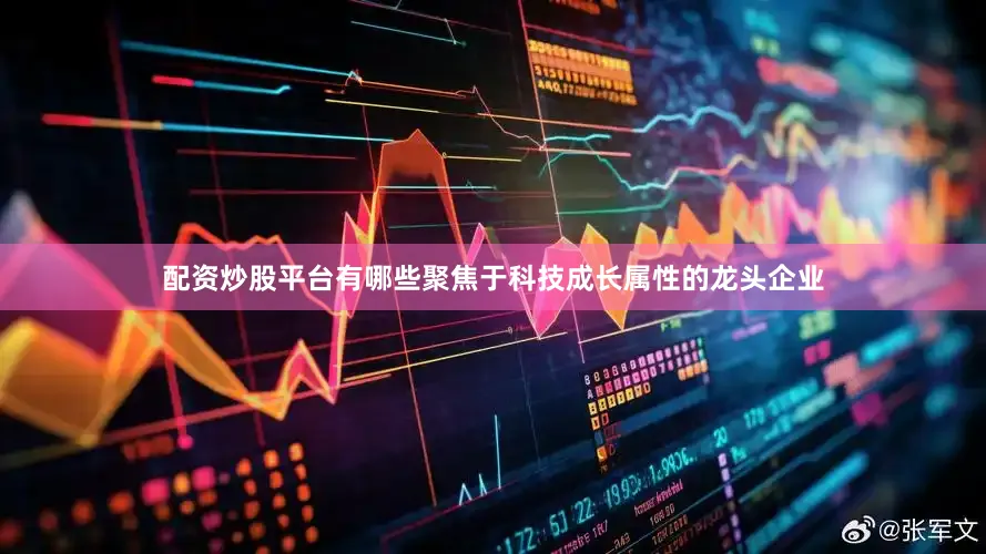 配资炒股平台有哪些聚焦于科技成长属性的龙头企业