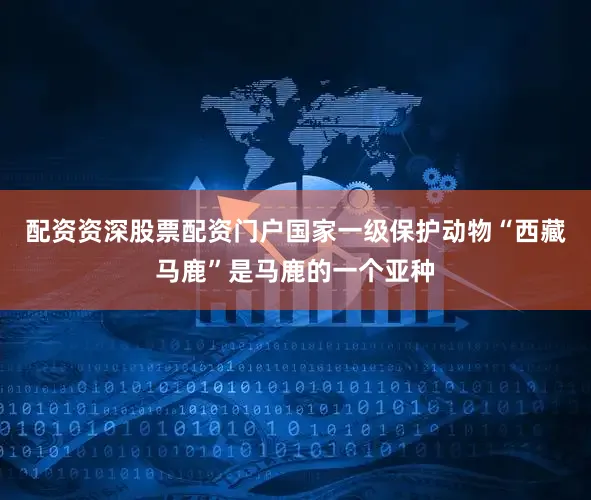 配资资深股票配资门户国家一级保护动物“西藏马鹿”是马鹿的一个亚种